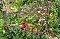 A naturalistic wildlife-friendly garden with colourful flowers including Salvia, Achillea, Eryngium, Dahlia and Rosa to attract bees and other insects. RHS Hampton Court Palace Garden Festival 2019.
