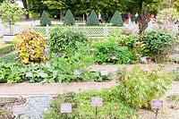 The Herb Garden with mixed planting in various beds - visitors walk past along distant footpath at The Old Apothecary's Garden - Aptekarsky Ogarod - Moscow, Russia