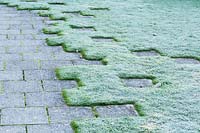 Paving slabs laid in an inventive, staccato fashion at Marks Hall Gardens in autumn, designed by Brita von Schoenaich 