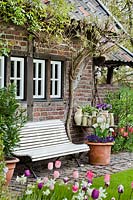 View acros bed of mixed Tulipa 'Zurel', Tulipa 'Gander's Rhapsody', Narcissus 'Thalia' and Tulipa 'Foxtrot' to a relaxing area with wooden bench near house