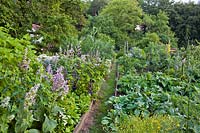 Organic herb garden with a grass path