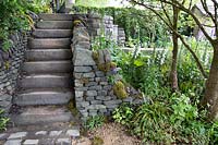 Stone steps and native flora including red campion, digitalis and willow. Garden: The Welcome to Yorkshire Garden. Sponsor: Welcome to Yorkshire, Gold Medal Winner. Chelsea Flower Show 2019.