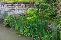 Marginal planting beside a stream - The Welcome to Yorkshire Garden at the RHS Chelsea Flower Show 2019