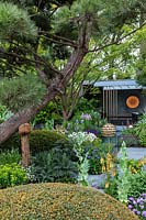 Clipped taxus domes, Pinus nigra and a relaxation pod shown within The Morgan Stanley Garden at RHS Chelsea Flower Show 2019