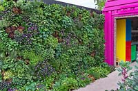 The Montessori Centenary Childrens Garden: Living wall of edibles. Sponsors: Montessori centre International. Rhs Chelsea flower show 2019.