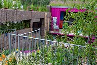 The Montessori Centenary Children's Garden. Looking across to the school room that has a green roof planted with Red Campion - Silene dioica.  A row of Iris sibirica 'Tropic Night' growing along the top of the pebble wall. Sponsors: Montessori Centre International  and  City Asset Management 