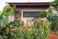Edibles including Zea mays with Musa, shelter with blackboard for teaching - The Camfed Garden: Giving Girls in Africa a Space to Grow, RHS Chelsea Flower Show 2019.