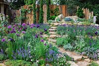 The Donkey Sanctuary Garden. Drought-tolerant garden inspired by arid rocky hillside. Stepping stone pathway runs up the middle of the garden, framed by purple and blue planting. Plants: Iris germanica, Allium 'Miami', Nepeta x fassenii 'Purrsian Blue', Stipa gigantea, Foeniculum vulgare 'Purpureum' - Fennel, Lavendula angustifolia 'Hidcote' - English Lavender and Knautia macedonica. Rustic timber fence at the back. with Cupressus sempervirens - Pencil Cypresses and Pinus - Pine. Sponsor: The Donkey Sanctuary