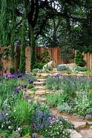 The Donkey Sanctuary Garden. Drought-tolerant garden inspired by arid rocky hillside. Stepping stone pathway runs up the middle of the garden, framed by purple and blue planting. Planting features  Iris germanica, Allium 'Miami', Nepeta x fassenii 'Purrsian Blue', Stipa gigantea, Foeniculum vulgare 'Purpureum' - Bronze Fennel, Lavendula angustifolia 'Hidcote' - English Lavender. Rustic timber fence at the back with Cupressus sempervirens - Pencil Cypresses and Pinus - Pine. Sponsor: The Donkey Sanctuary