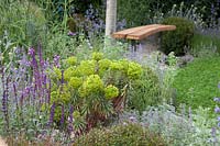 The Harmonious Garden of Life, the planting includes Euphorbia, Nepata racemosa and Salvia officinalis. Sponsors: Mr and Mrs Cawthorn, Margheriti Piante.