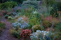 Holbrook Garden - early morning light with 11 pots of plants placed within the plantings to add more interest.
