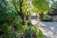 Entrance to the garden with contra jour lighting and sunburst. Low hedge of Spirea japonica Golden Princess and bed with Sedum and pink roseOrekhovno garden, Orekhovno, Pskov Oblast region, Western Russia.