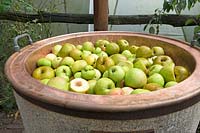 Apples and pears in copper boiler ready to boil.