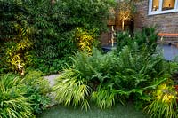 Small shade tolerant garden in London with a green theme at night with lighting. Planting includes Dryopteris affinis, Hakonechloa macra Aureola, Taxus media Hillii, Digitalis grandiflora ambigua. The border surrounds a small circular artificial lawn.