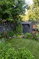 Contemporary garden in West London with grey painted shed and fence with trellis - view through borders with Verbena bonariensis, towards artificial lawn.