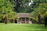 View along lawn with avenue of Trachycarpus fortunei - Chusan Palm, towards loggia
