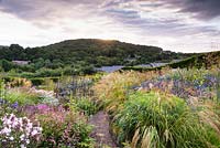 View over prairie-style planting, plants include: Stipa calamagrostis, Phlox, low growing Persicaria amplexicaulis 'Pink Elephant', Sanguisorba hakusanensis 'Lilac Squirrel' and blue Eryngium bourgatii 'Picos Blue' 