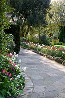 Curved crazy-paved pathway with different edgings, near beds of flowering Tulipa - Tulip