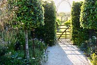 A pair of holm oaks frames a simple paling gate leading from the ornamental garden planted with salvias, geraniums and Stipa calamagrostis, into the kitchen garden at Sea View, Cornwall, UK in June.