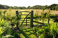 Simple paling gate leading out of the kitchen garden into the meadow at Sea View, Cornwall, UK in June.