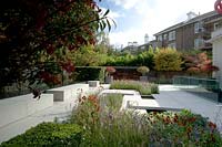 View across modern city garden, with pale paving and planting showing autumn colour. 