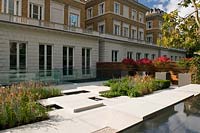 Modern London garden, with containers of shrubs showing autumn colour. 