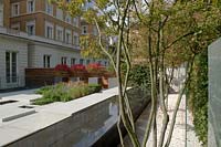 Water rill and tree next to paved seating in modern city garden 