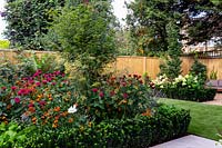 West London garden with artificial lawn. In the background there is a border featuring Monarda Fire Ball, Acer palmatum, Helenium Moerheim Beauty, Euonymus Jean Hughes.