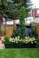 West London garden with artificial lawn - planting includes Hydrangea paniculata Little Lime, Persicaria Orange Field, Carpinus betulus Frans Fontaine, Euonymus Jean Hughes, Prunus lusitancia Angustifolia.