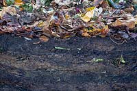 Cross section of a compost heap showing layers of well matured compost to freshly placed decomposing material