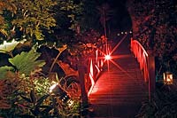 Gunnera and bridge lit by 'Electric' 'Lighting' of plants after dark at Abbotsbury sub-tropical  gardens, Dorset, England.