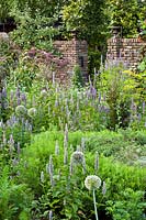 Mixed planting of herbs and vegetables in walled herb garden