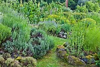 Mixed herb garden in early summer.