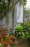 A small deck at the back of a house with a tropical style garden, featuring a Frangipani, flowering bromelaids, airplant, and a large Alcantarea.