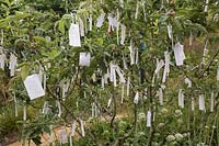 Cultiver les Reves, Grow Your Dreams, Festival International des Jardins 2019, Domaine de Chaumont sur Loire, France. Wishing tree with paper labels and wishes.