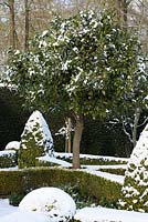 The Potager with Buxus - box hedging and topiary shapes, Taxus baccata - yew hedge. Large Laurus nobilis - standard Bay tree with a covering of snow. The Old Rectory, Suffolk, UK