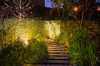 Illuminated curved path surrounded by Miscanthus sinensis 'Morning Light' - eulalia, Erysimum 'Bowles's Mauve' Hakonechloa macra in Autumn at night