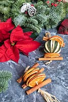 Natural Christmas decorations - Euphorbia pulcherrima - Poinsettia - and Pine wreath with dried oranges and limes, and cinnamon sticks.