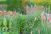 Herbaceous borders at Bluebell Cottage Gardens, Dutton, Cheshire. Planting includes Kniphofia 'Timothy', Echinacea purpurea, Verbena bonariensis and Echinacea 'Green Envy'.