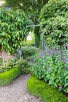 A wrought iron gate leads into the Croft Garden from The Lanhydrock Garden at Wollerton Old Hall Garden, near Market Drayton, Shropshire. Planting includes: Agastache, clipped box hedging and ivy.