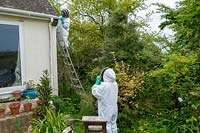 Beekeepers destroying a wasps nest.