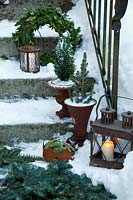 Winter decorations on steps including lit lanterns and mini christmas trees in pots