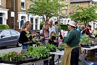 People buying plants from community plant stall in urban street. Wilberforce Road Gardeners plant sale, London Borough of Hackney.