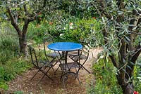 Seating area among Olea Europea trees - A Perfumer's Garden in Grasse by L'Occitane - RHS Chelsea Flower Show. Sponsor: L'Occitane.