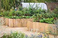 Tomatoes, aubergine and chillies in timber framed raised bed - The Thames Water Flourishing Future Garden - RHS Hampton Court Palace Garden Festival 2019.