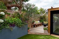 London contemporary garden - grey raised border on patio. Planting includes Heuchera berry smoothie, Salvia caradonna, Hydrangea anabelle, Geranium johnsons blue. In background a lower wood deck area with Betula utilis and wooden seat. To the right a garden room sits behind an artificial lawn.