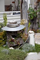 A bespoke garden feature made from wharf timbers a galvanised metal dish and ship's rope, in a garden with a dense planting of ground covers featuring Leucophyta brownii nana, Cushion Bush, with silver grey foliage.
