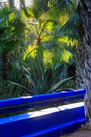 Rill with blue painted sides, and palms and cacti with sun shining through them. Le Jardin Majorelle, Majorelle Garden, Marrakech.