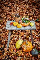 Small wooden table and fallen leaves with display of gourds and pumpkins including a pumpkin planted with succulents.