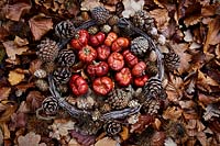 Dried mini pumpkins placed inside a wreath with pine cones on bed of dried leaves